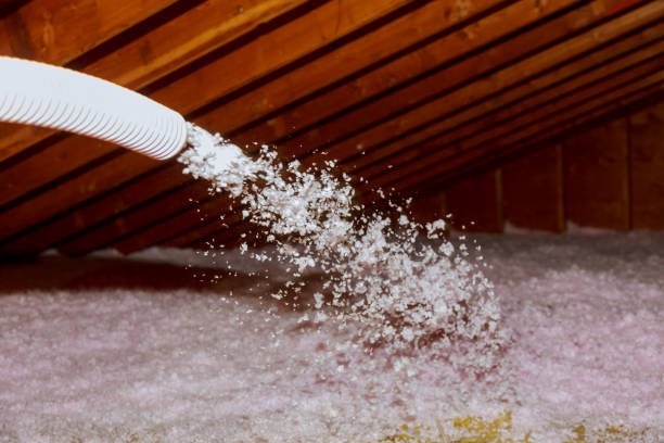 Best Cellulose Insulation in Long Beach, IN