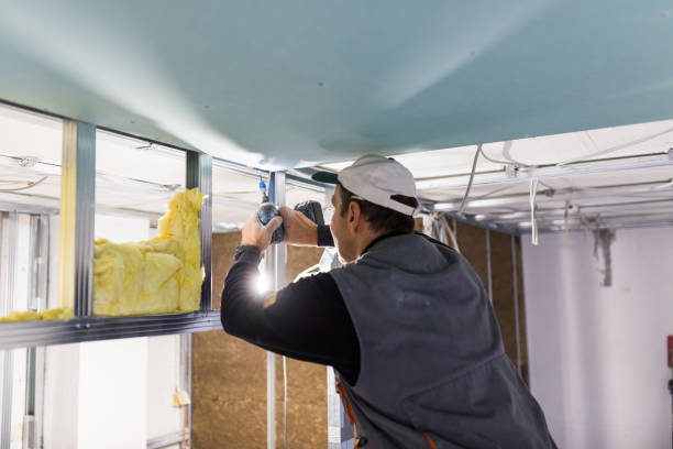 Best Energy Efficiency Insulation in Long Beach, IN