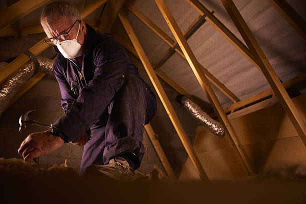 Best Insulation Maintenance and Repair in Long Beach, IN