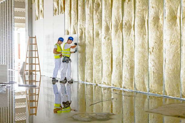 Best Geographic-Specific Insulation Services in Long Beach, IN